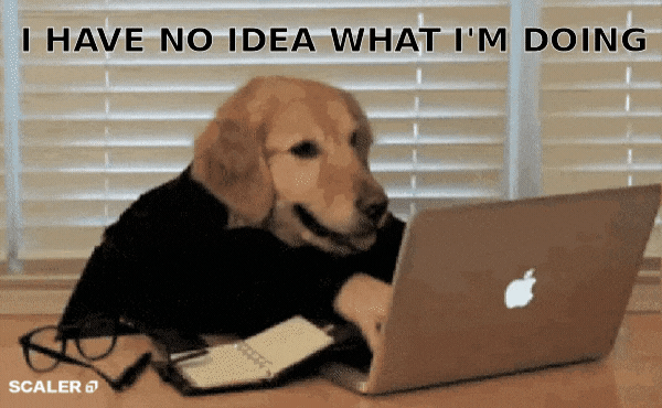 Gif que mostra um cachorro de cor marrom, vestido com uma camisa preta e com mãos humanas digitando um um notebook. Existe uma legenda inserida no gif que diz: "I have no idea what I'm doing", que pode ser traduzido para: "Eu não tenho ideia do que estou fazendo".