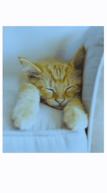 GIF colorido. No centro da tela do celular, a imagem de um gato laranja. Um filtro é aplicado na imagem de forma linear, da cor branca para a azul.