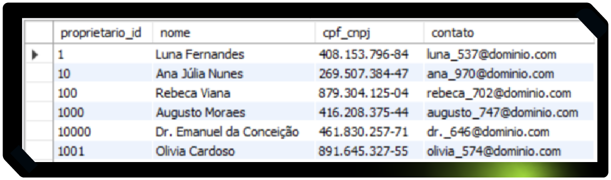 A imagem contem um exemplo de uma planilha com dados nas seguintes categorias: proprietário_id, nome, cpf ou cnpj e contato