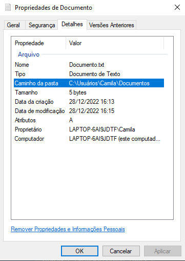 Janela com as propriedades de um documento. A aba “Detalhes” está selecionada mostrando algumas informações sobre o documento. A propriedade “Caminho da pasta” está selecionada e seu valor é `C:\Usuários\Camila\Documentos`.