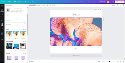 Imagem que mostra uma imagem de um cogumelo na timeline do Canva, com um edição colorida, com tons de roxo e azul.