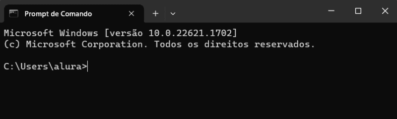 Captura de tela do Prompt de Comando do Windows. Os textos indicam o caminho para um diretório no Windows.
