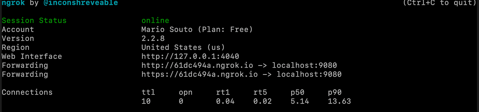 Terminal com o ngrok rodando