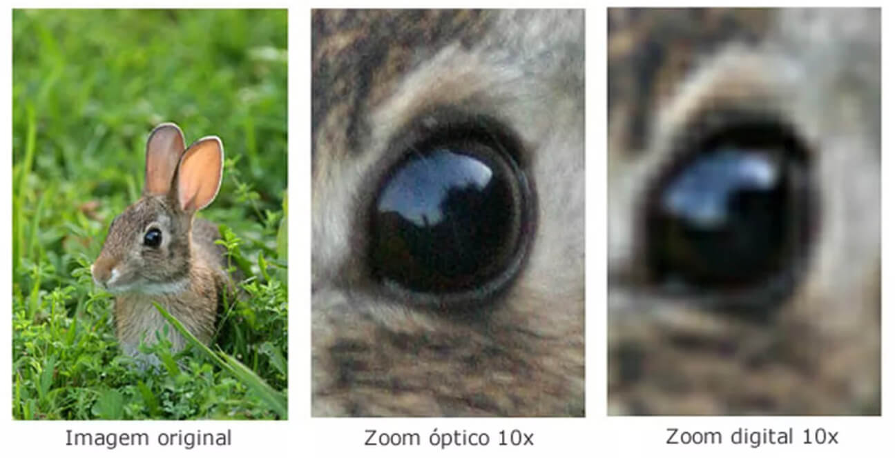 Imagem 1- Coelho em um matinho; Imagem 2 - zoom óptico no olho do coelho; Imagem 3 - Zoom digital no olho do coelho.