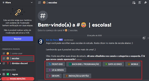 Eu vou criar um servidor discord profissional