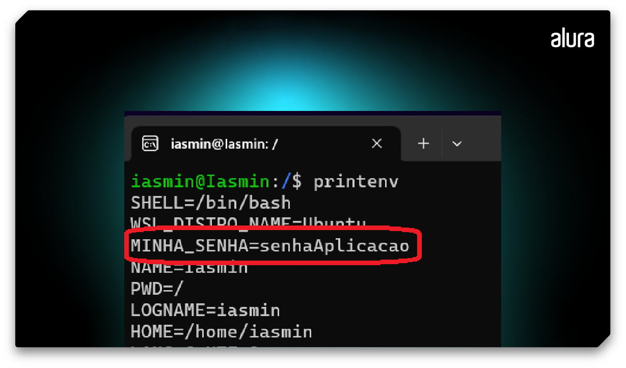 Print do terminal do Linux Ubuntu após executar o comando “printenv”. Aparecem várias variáveis de ambiente e a terceira delas está em destaque, pois é a que acabamos de criar, a “MINHA_SENHA”.