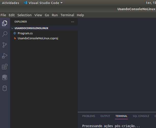 alt text: Na imagem mostra o explorador do VS Code o arquivo `Program.cs` e `UsandoConsoleNoLinux.csproj`.