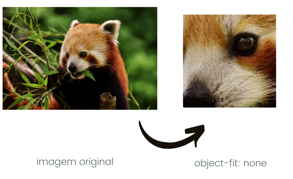 Figura mostrando como fica uma imagem com a propriedade object-fit: none aplicada.