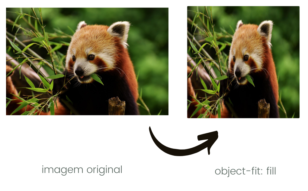 Figura mostrando como fica uma imagem com a propriedade object-fit: fill aplicada.