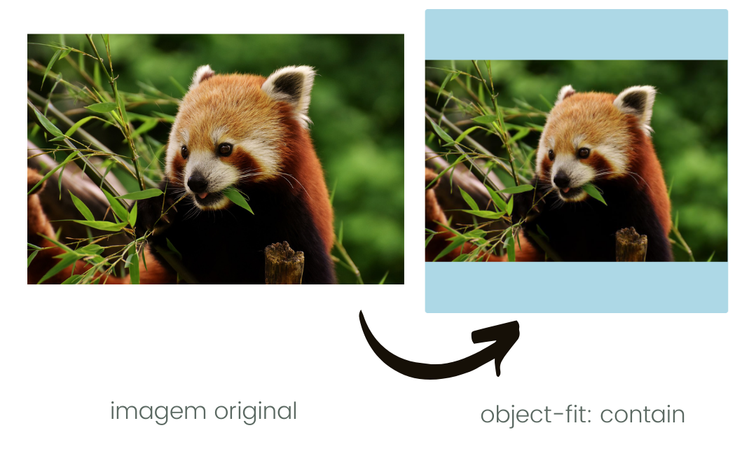 Figura mostrando como fica uma imagem com a propriedade object-fit: contain aplicada.