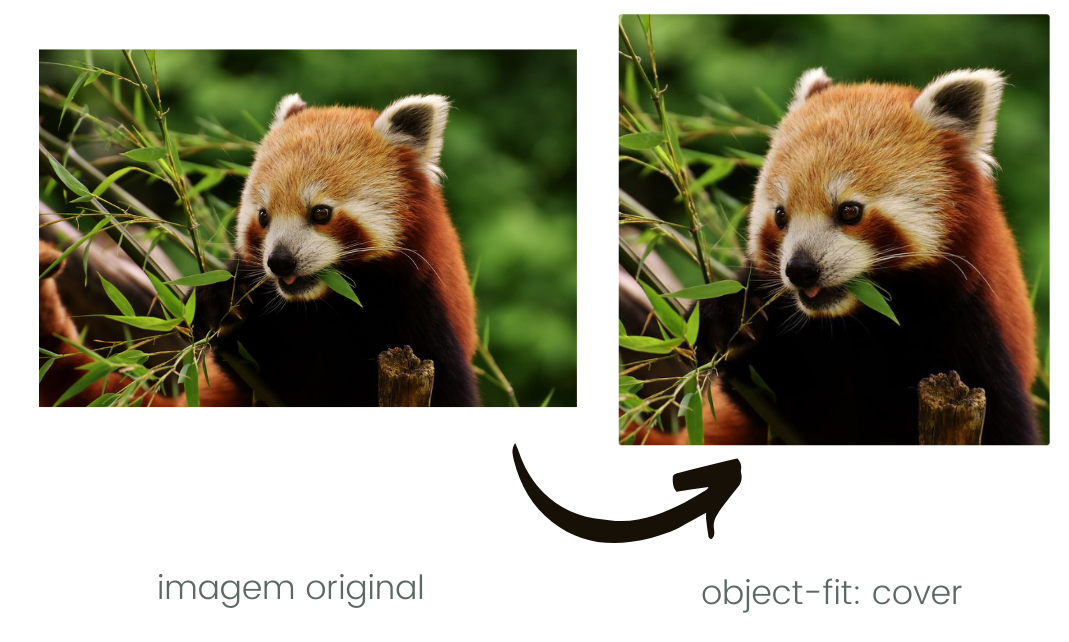 Figura mostrando como fica uma imagem com a propriedade object-fit: cover aplicada.
