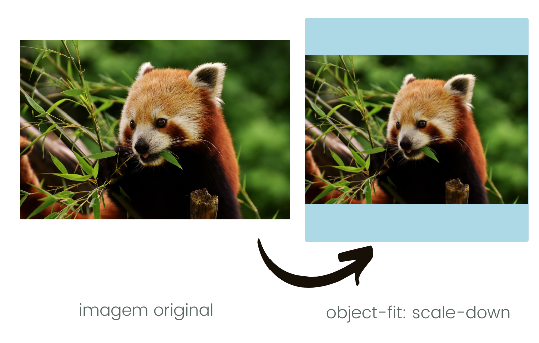 Figura mostrando como fica uma imagem com a propriedade object-fit: scale-down aplicada.