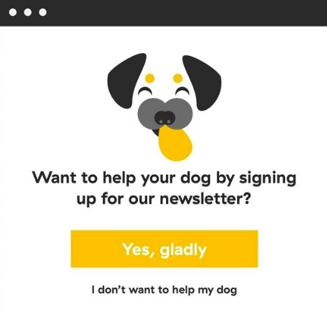 imagem de um cachorro em uma newsletter escrito (em inglês): quer ajudar o seu cão, inscrevendo-se na nossa newsletter? 