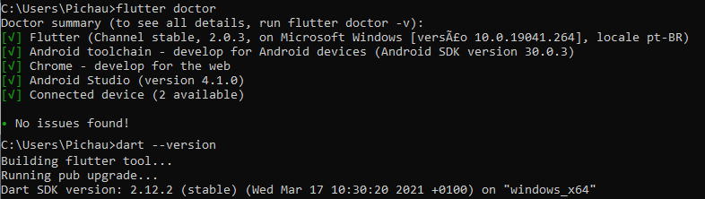 Resposta do comando flutter doctor, com o Flutter atualizado para a versão 2.0.3, o DART na versão 2.12.2 e sem nenhuma pendência