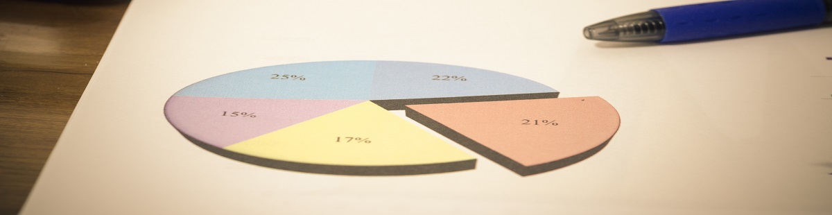 Gráfico de Pizza: o que é, como fazer e exemplos