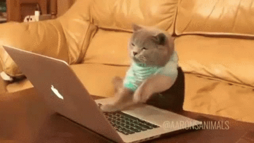 A animação mostra um gatinho cinza vestido com uma blusa verde listrada. Ele está digitando freneticamente em um notebook em uma mesa de centro de sua sala de estar com um sofá confortável ao fundo.