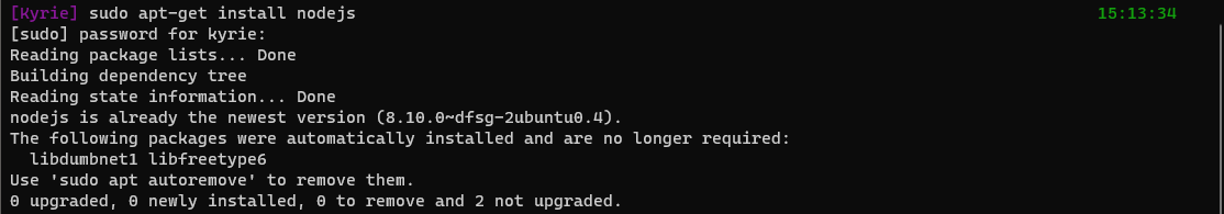 Terminal do Ubuntu após executar a linha de comando