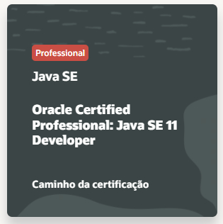 Card do caminho para a certificação “Professional”, no site da Oracle, exibindo o texto “Java SE Oracle Certified Professional, Java SE 11 Developer”.