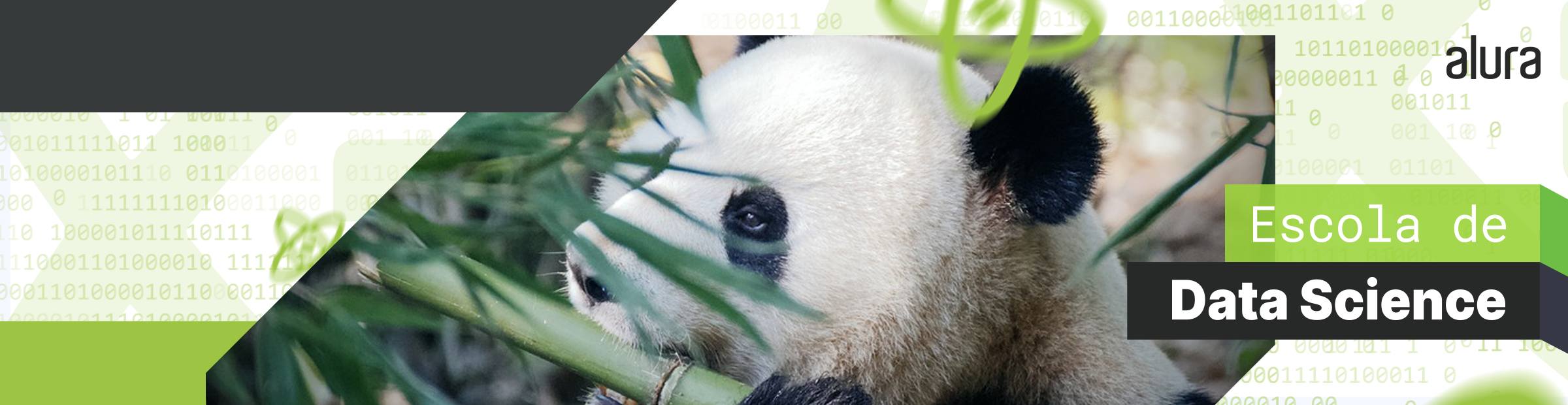 Pandas Python: o que é, para que serve e como instalar