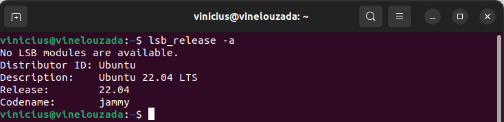 Imagem do terminal do Linux, com fundo de cor de vinho. No terminal, estamos executando o comando para verificar a versão da distribuição do Linux, e como resultado temos que a distribuição do Linux é Ubuntu versão 22.04.