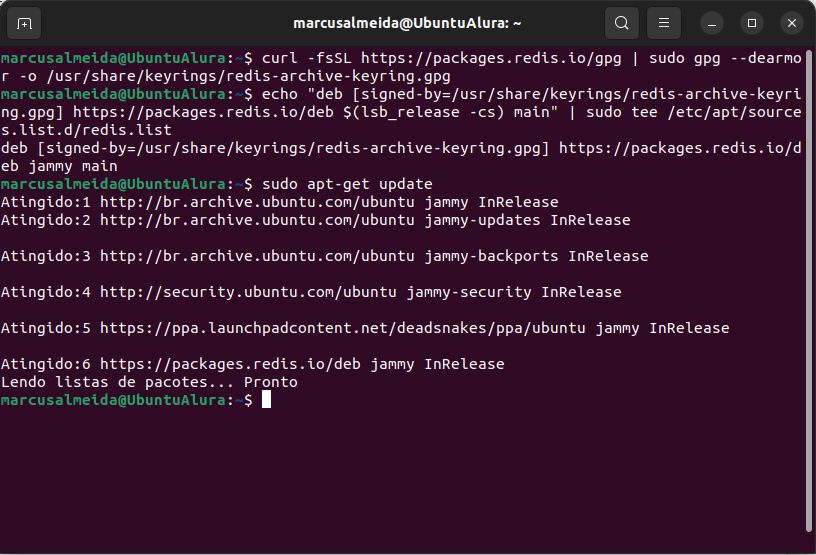 Captura de tela do terminal do Linux, com fundo cor de vinho. No terminal, foram executados os comandos de adição do Redis ao gerenciador de pacotes e é mostrada a saída.