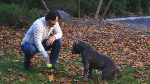 A animação mostra o ator Keanu Reeves com uma camisa branca e calça jeans agachado em um parque, ele joga uma bolinha para seu cachorro e o cão da raça pit-bull, com pêlos escuros, segue a bolinha.
