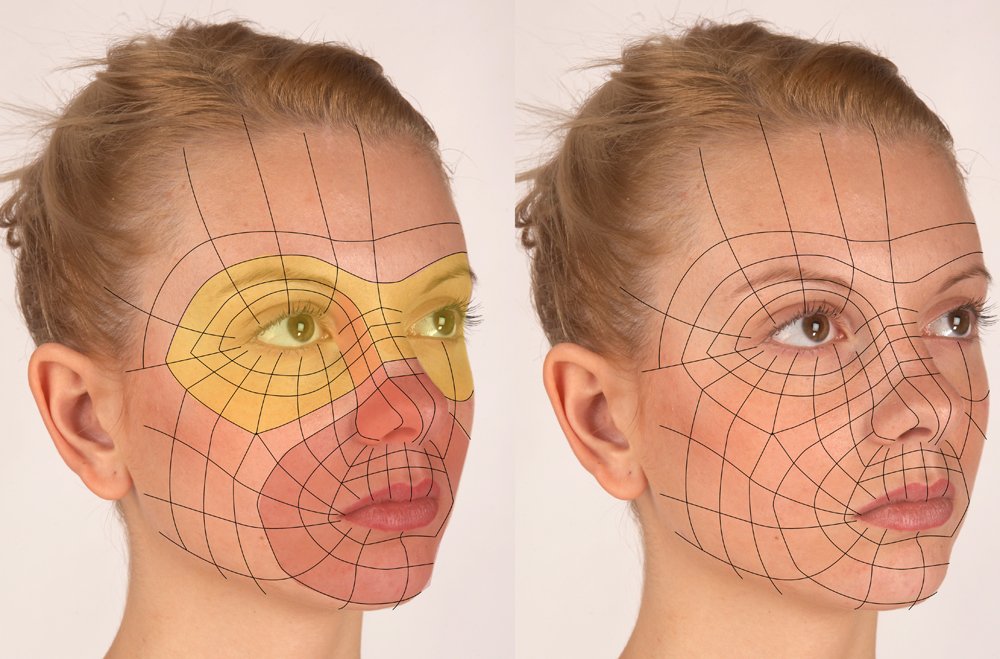 Rosto de uma  mulher mostrando um wireframe seguindo os contornos do rosto.